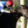 Tough competition awaits this year’s Kentucky Derby