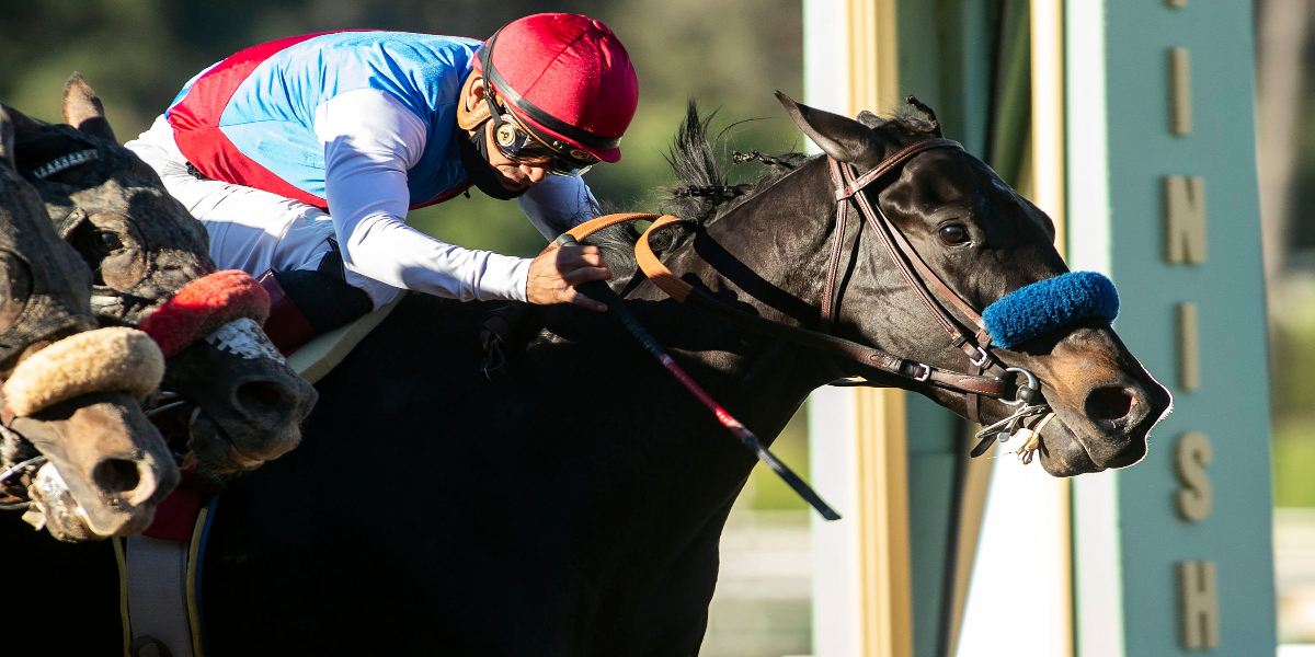 Kentucky Derby 2021: Medina Spirit Wins Dominant Race