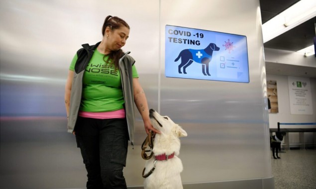 UK Study: Dogs Can Detect COVID-19 Positive Arrivals at Airport