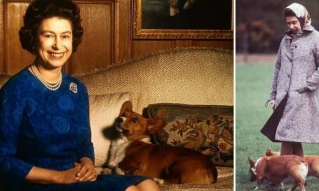 Queen Elizabeth II dog Fergus