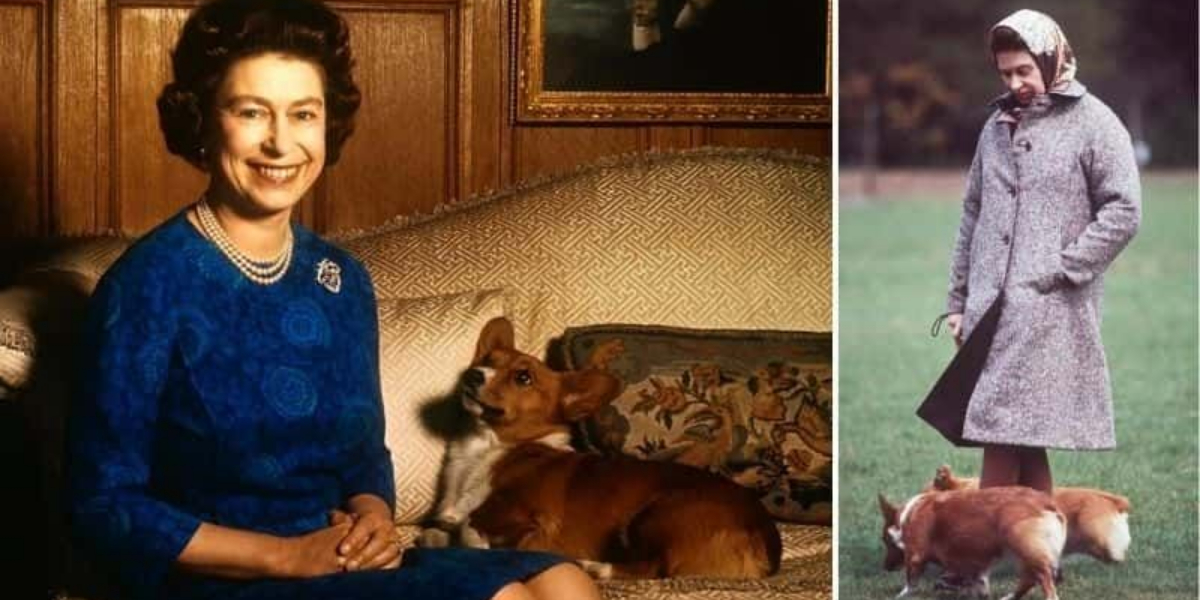 Queen Elizabeth II dog Fergus