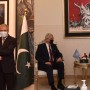 FM Qureshi, UNGA President Discuss Palestine & Kashmir Disputes