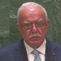Israel should put an end to atrocities against Palestinians: Palestinian FM