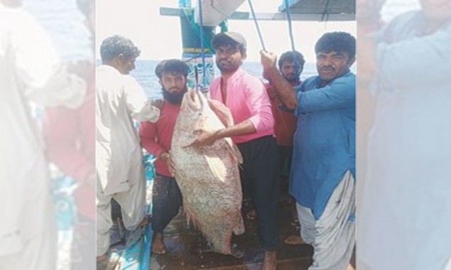 Rare Fish Made Balochistan's Fisherman Millionaire Overnight