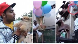 India: Delhi YouTuber Arrested For Flying Dog With Balloons