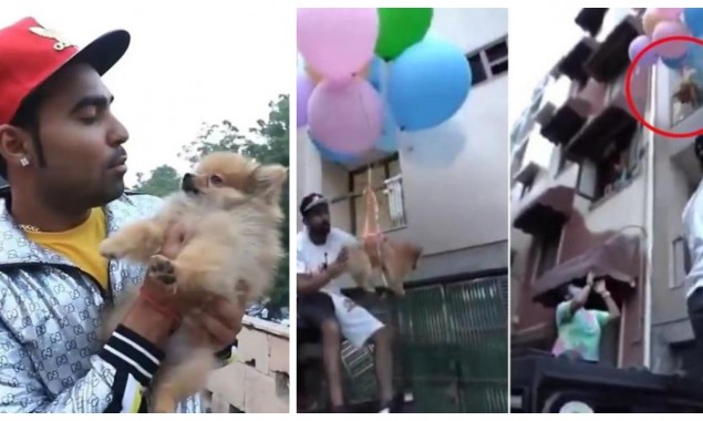 India: Delhi YouTuber Arrested For Flying Dog With Balloons