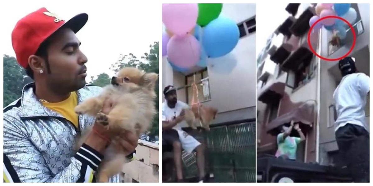 India: Delhi YouTuber Arrested For Flying Dog With Balloons