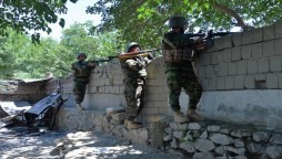 Afghanistan: 50 Taliban Killed In Clashes With Afghan Forces Near Kabul
