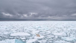 Arctic warming three times faster than the planet, report warns
