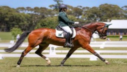 Usman's Olympic dreams shattered when he loses his equine partner