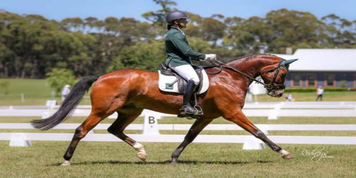 Usman's Olympic dreams shattered when he loses his equine partner