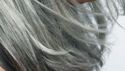 Study reveals psychological stress causes hair to grey