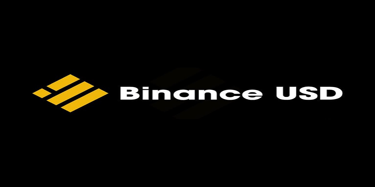 Binance USD TO PKR