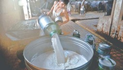 Cartelisation making milk expensive in Karachi: CCP