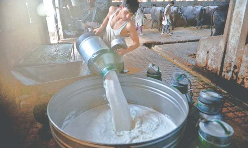 Cartelisation making milk expensive