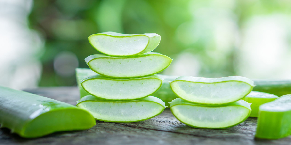 Aloe Vera benefits