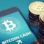 BCH TO PKR: Today 1 Bitcoin Cash to PKR on, 13th June 2021