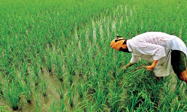 Budget 2021/22: Govt to focus on agriculture, exports to mitigate Covid-19 woes