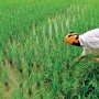 Budget 2021/22: Govt to focus on agriculture, exports to mitigate Covid-19 woes