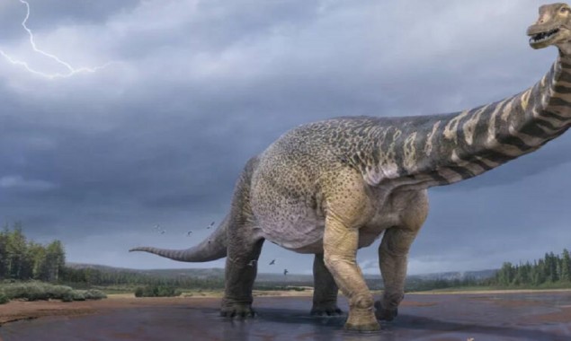 New Dinosaur Species Discovered In Australia Towered The T.Rex