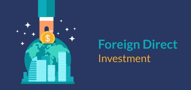 Foreign direct investment plunges 28% in 11 months