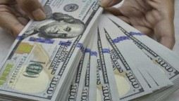 Foreign exchange reserves rise to $23.586 billion