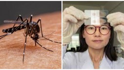 World Health Organization declares China Malaria-Free