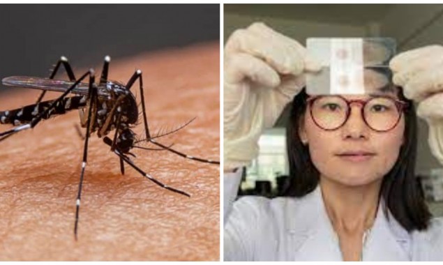 World Health Organization declares China Malaria-Free