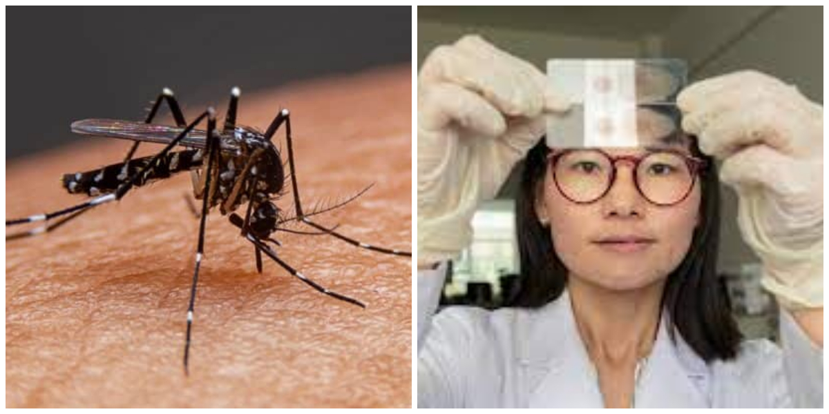 World Health Organization declares China Malaria-Free