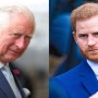 Prince Charles unable to handle Prince Harry’s harsh criticism