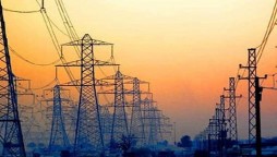 government has paid IPPs