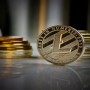 LTC TO PKR: Today Litecoin to PKR on, 13 June 2021