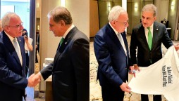 Qureshi meets Palestinian counterpart