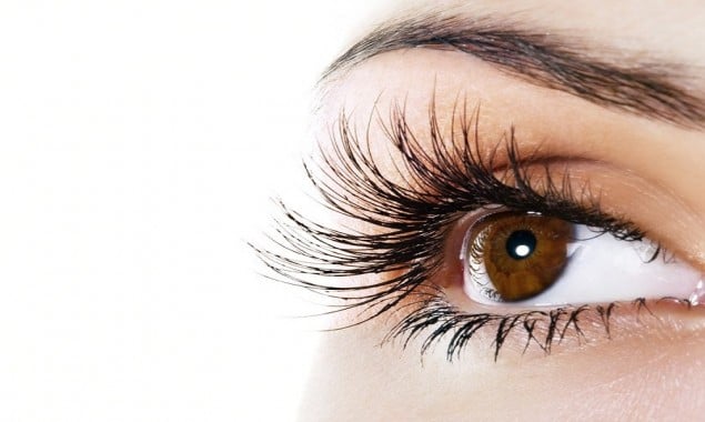 What is the purpose facial hairs like eyebrows and eyelashes?
