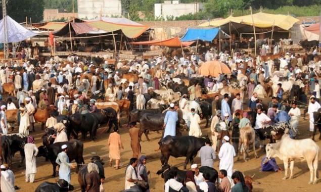 Govt issues COVID-19 guidelines for Eidul Azha