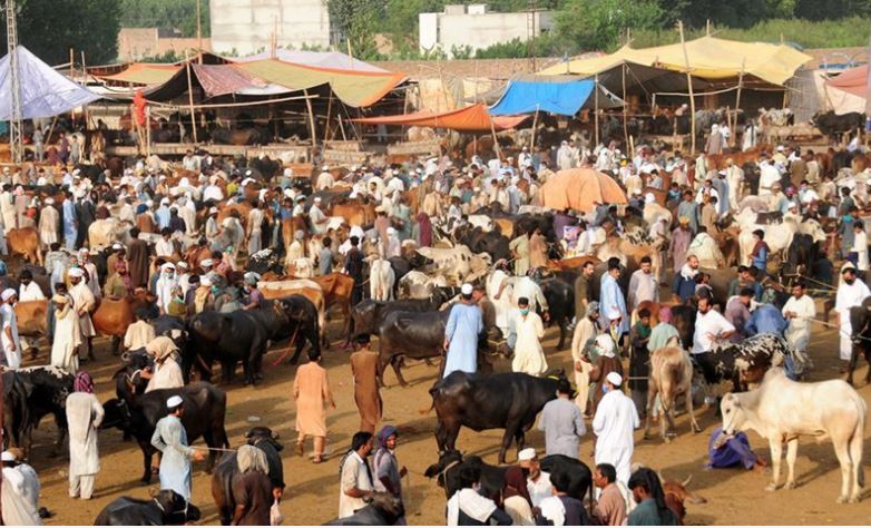 bakra eid