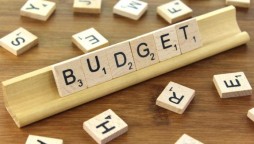 Budget 2021-22: Government sets 4.8% target for next year growth