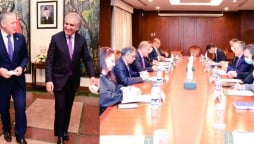 Qureshi met his Tajik Counterpart