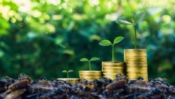 Guidelines for Green Bonds