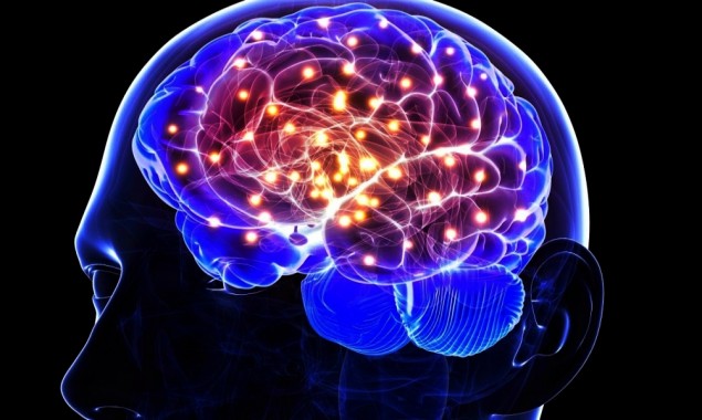 These Foods Are The Best Source to boost functioning of your brain