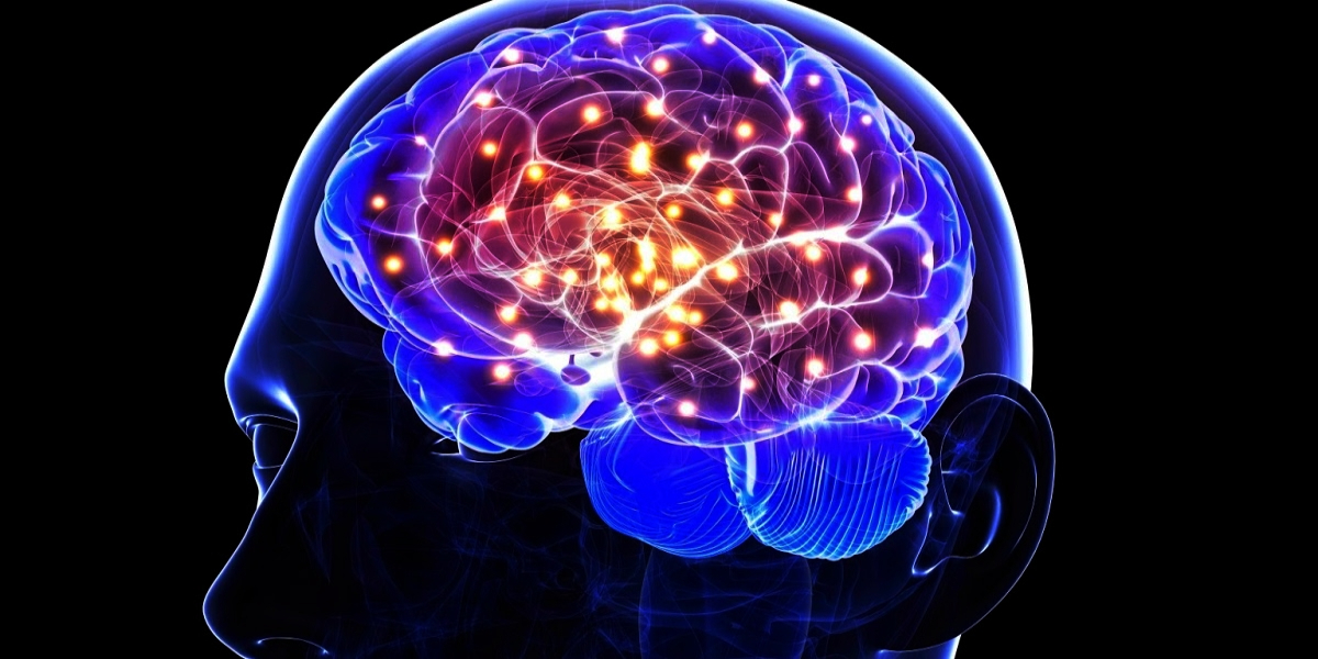 Brain functioning foods