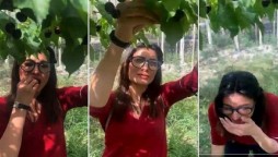 What did Mehwish Hayat do for the very first time in her life?