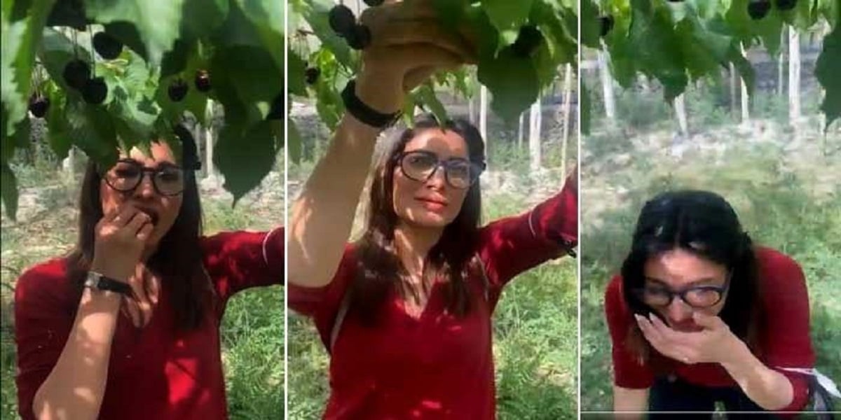 Mehwish Hayat