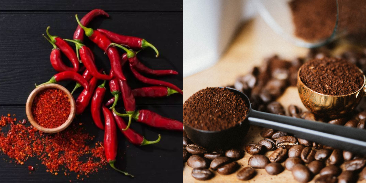 metabolism increase by these foods