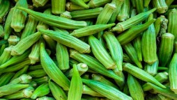 Five reasons to embrace this underrated veggie "Okra"