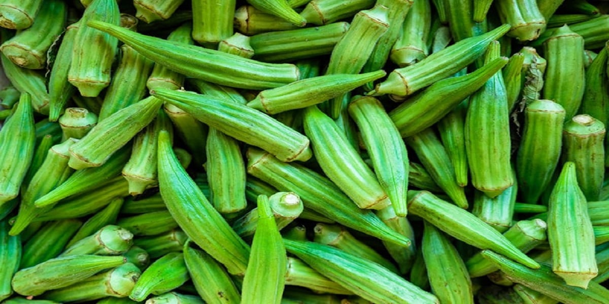 Five reasons to embrace this underrated veggie "Okra"