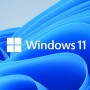 What Are the Minimum System Requirements to Run Windows 11?