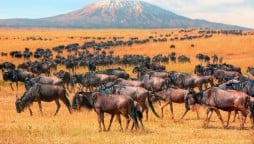 The Best Places to Travel in August