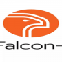 Naz joins Falcon-i as managing director