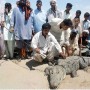 Sukkur crocodile attack kills a four-year-old girl